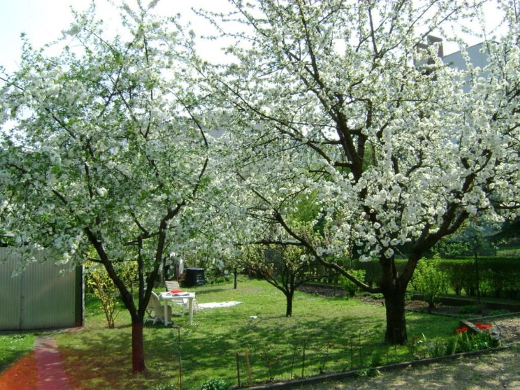 Haus In Budapest Mit Garten Villa Cameră foto